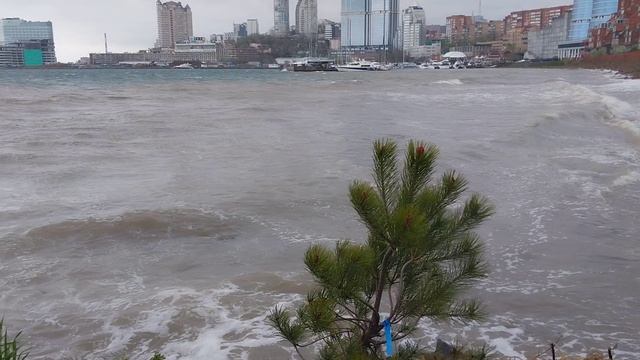 Ураганный вторник! Чем вас порадует 21 июня во Владивостоке? (Спойлер: ничем хорошим)