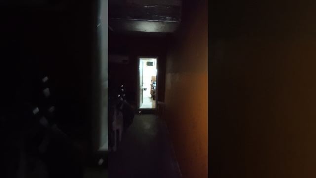 1000101173.mp4