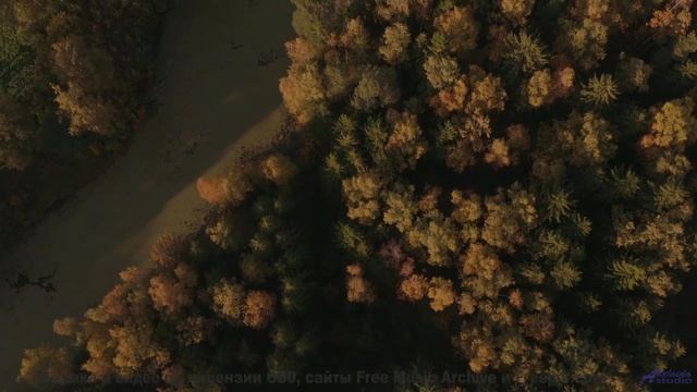 Музыка для синтетического сознания - сможете ли вы её почувствовать - 20 Minute Meditation 11 -- Hol
