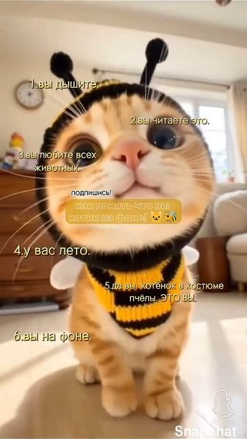Очень мило💛🖤