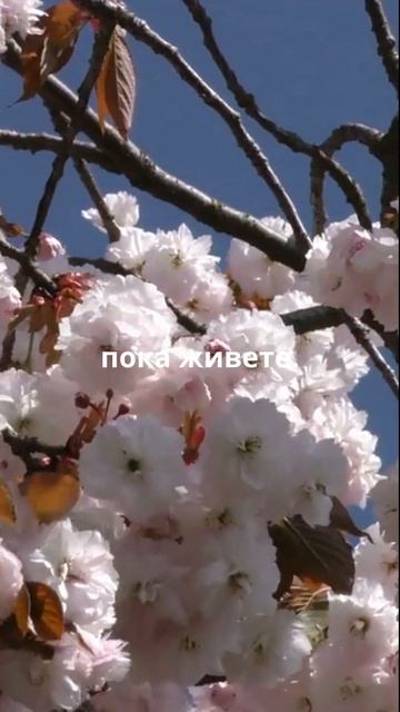 Потом может и не быть...