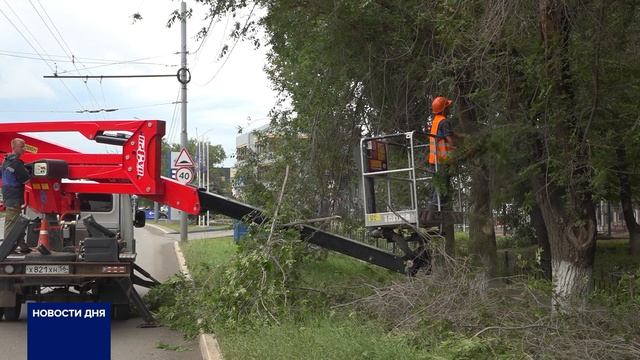ОПИЛОВКА ДЕРЕВЬЕВ В ОРЕНБУРГЕ: БЛАГО ИЛИ ВРЕД?