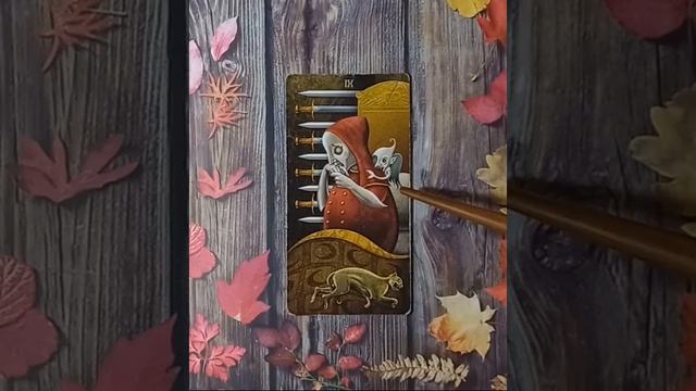 Для начинающих.Таро безумной луны.Девятка Мечей