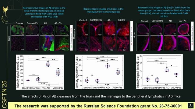 Plasmalogens Improve Lymphatic Clearance of Amyloid Beta from Mouse Brain and Cognitive Functions