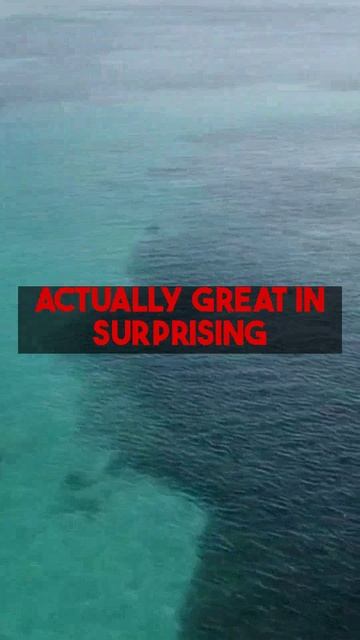 Find smart travel destinations for November! Unlock hidden deals on affordable flights and...