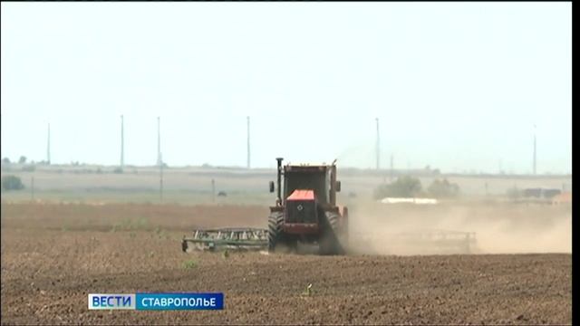 Надбавку за сельский стаж получат больше 20 тысяч ставропольских пенсионеров