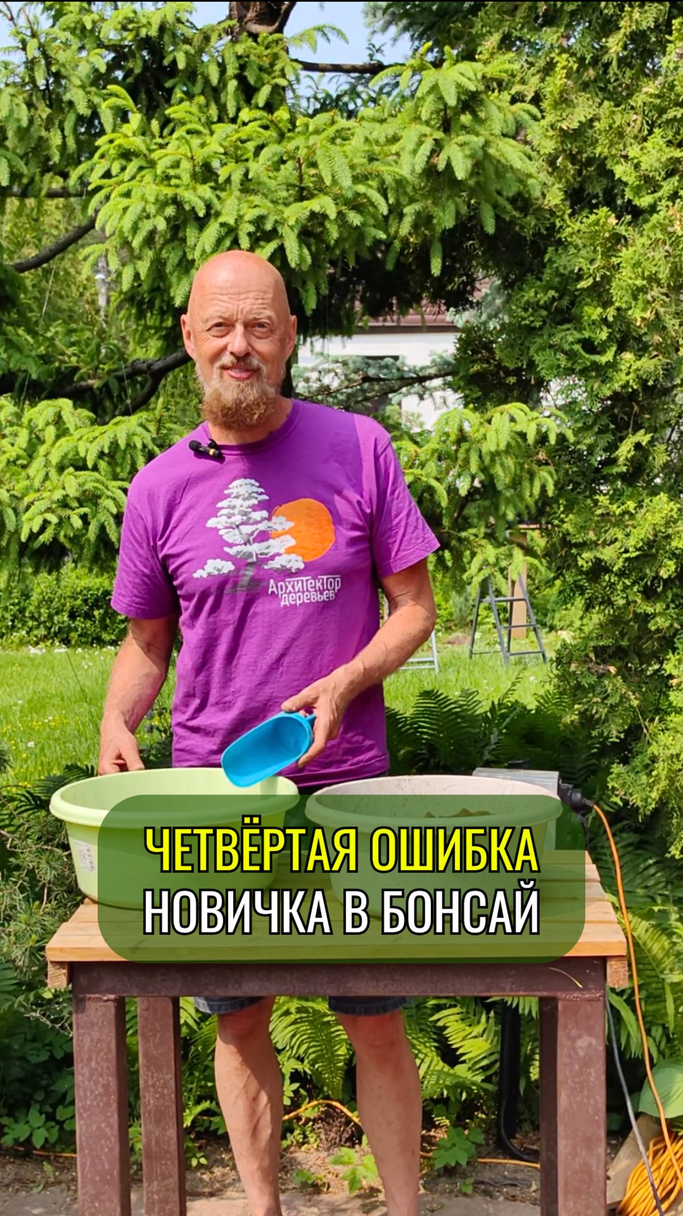 Четвертая ошибка новичка в #бонсай