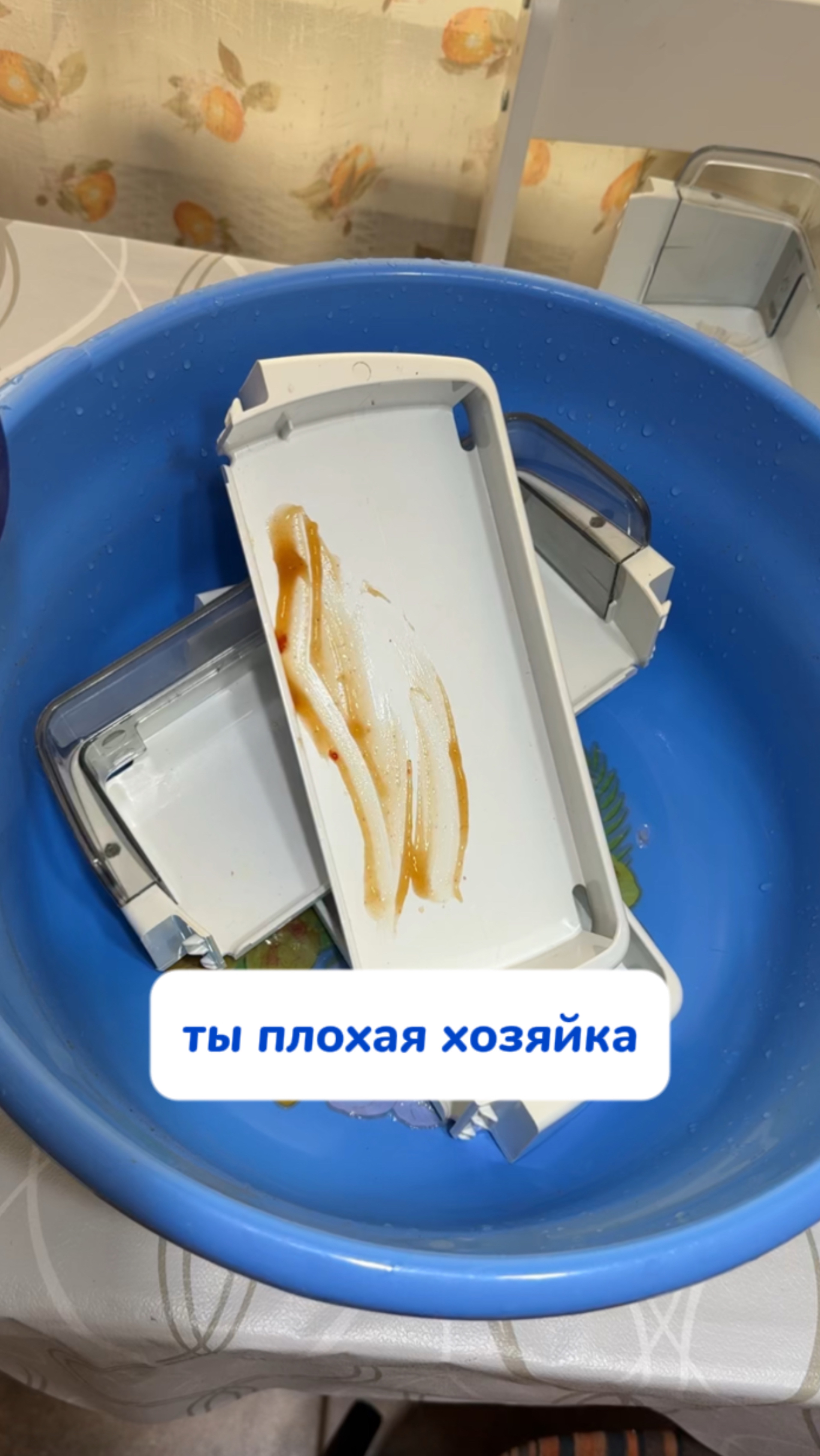 Часто моете холодильник?