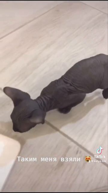 14 июля 2023 г.