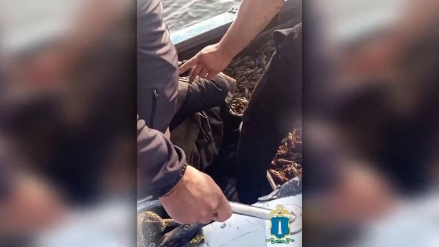 В акватории Волги ульяновские полицейские изъяли у браконьеров свыше тысячи раков