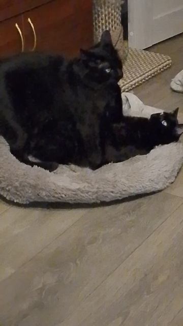 1000007701.mp4