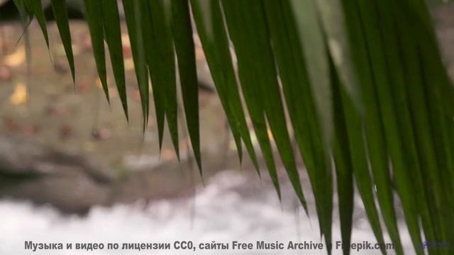 Леса манят сильнее, когда сопровождает такой саунд - Sad Girls -- SUPERARE -- III