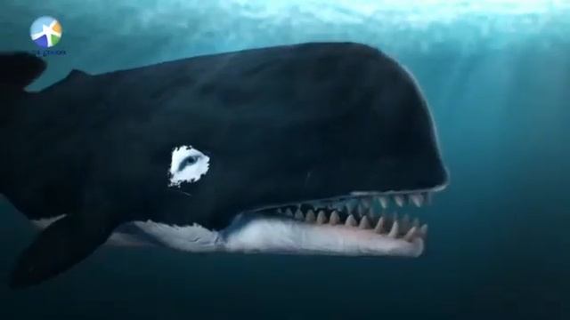 Морские чудовища мифы и реальность  Документальный фильм