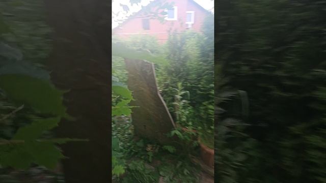 Сибирь Красноярск место Силы