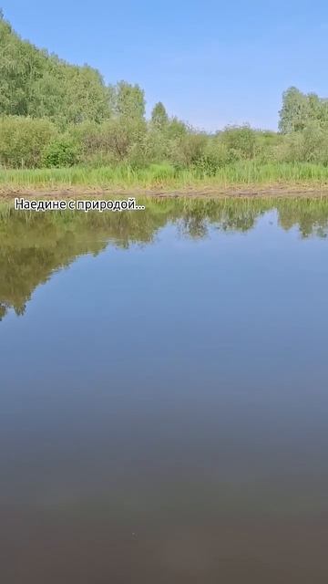 Наедине с природой #рыбалка #fishing