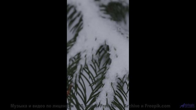Музыка ведёт туда, где живёт настоящая свобода - Revealed -- Ketsa -- Summer With Sound