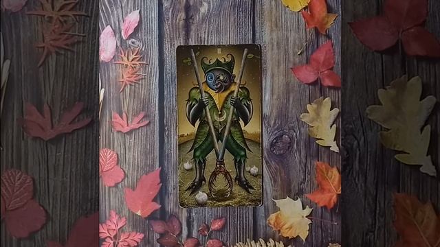 Для начинающих.Таро безумной луны.Двойка Жезлов