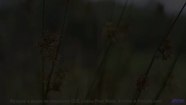 Он заставит тебя верить в чудеса снова! - Hoffnungsschimmer -- Berstgefahr -- Berstgefahr