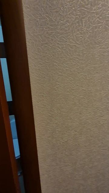 1000088351.mp4