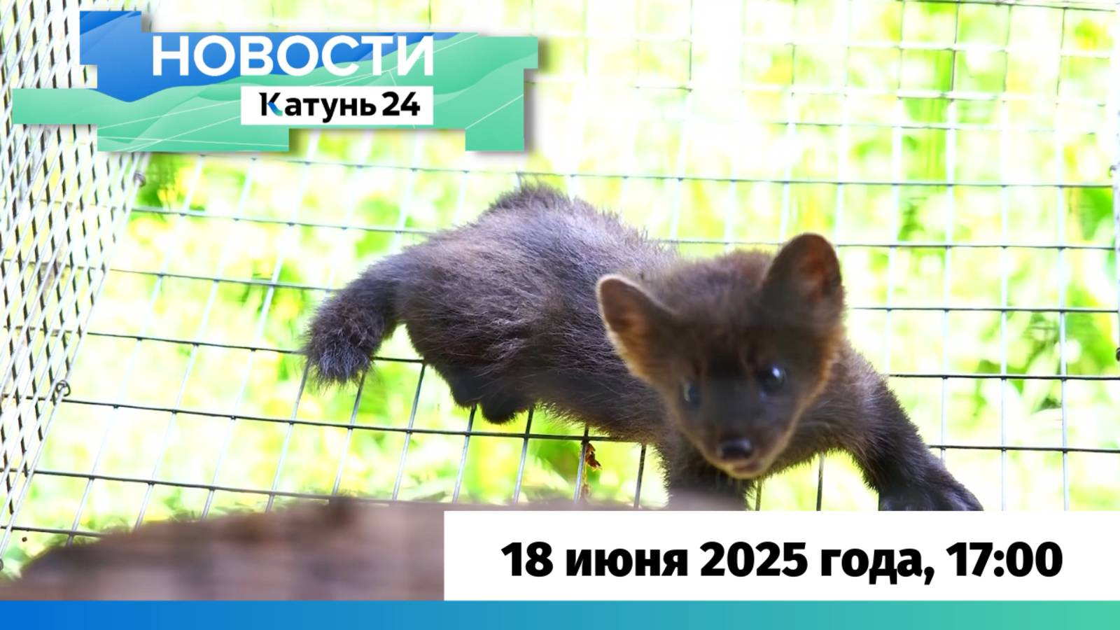 Новости Алтайского края 18 июня 2025 года, выпуск в 17:00
