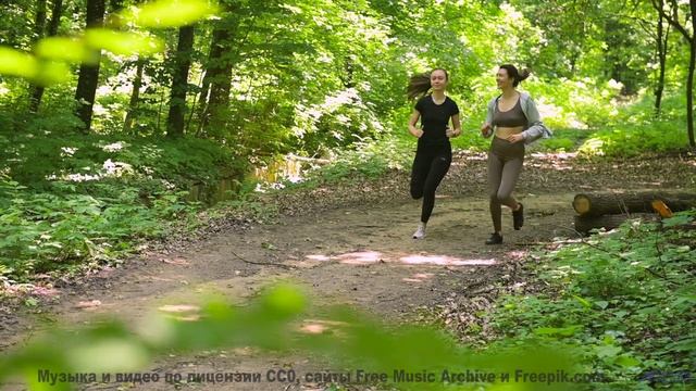 Пейзажи под этот саундтрек проникают в самую суть - DJ Millenium -- New Millennium String Band -- NM