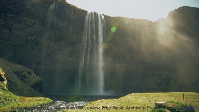 Музыка + природа = ТЫ В ШОКЕ! - Picaflor Tistre (XLVII) -- opo -- Estudios Indigeniformes