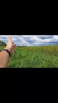 залез на кочку