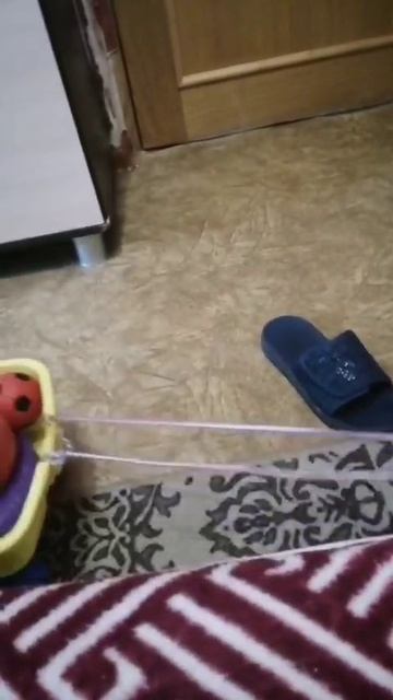 VID-20250526-WA0006.mp4