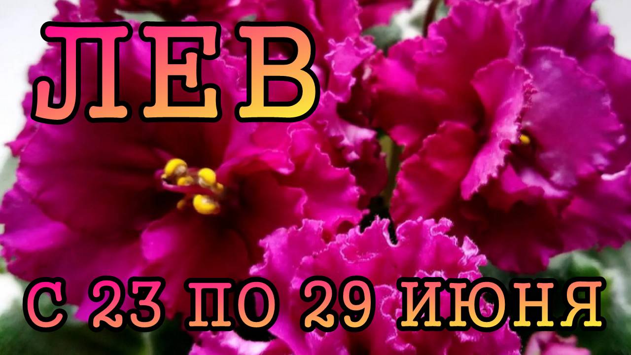 ЛЕВ таро прогноз на неделю с 23 по 29 ИЮНЯ 2025 года.