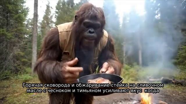Бигфут готовит стейк