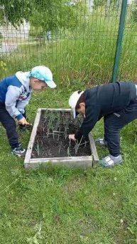 Видео WhatsApp 2025-06-18 в 10.59.53_23c9f2c8