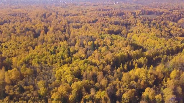 Это видео изменит ваше восприятие реальности - смотрите! - After You -- Ketsa -- Equinox Rising