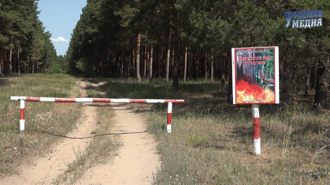 Лес пожароопасный период 2025
