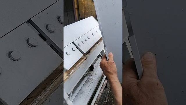 VID_20250606_143146.mp4