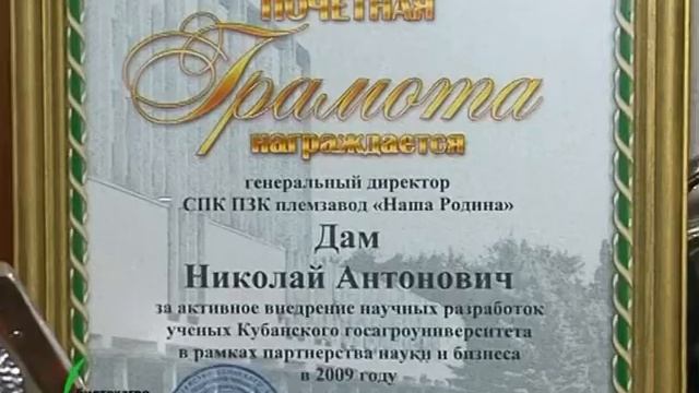 «Никогда не будет никогда»