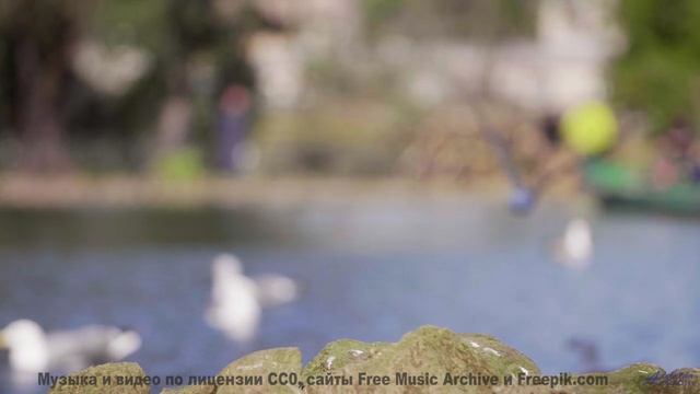 Клип, созданный на орбите чёрной дыры - технологии будущего! - Social Kapital -- Glad Rags -- Wonder