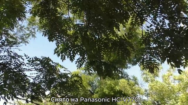 Зарисовка. Panasonic HC-V770
