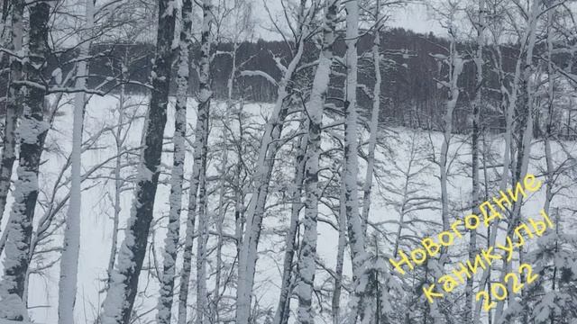 Новогодние каникулы 2022