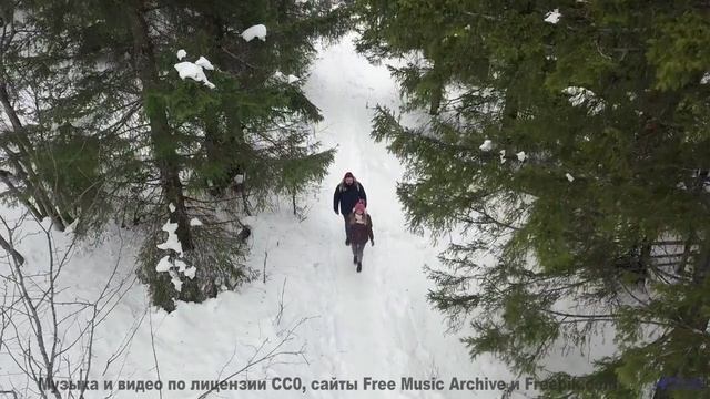 Почему йоги используют эту мелодию для медитации - Who Thought -- The Proper Ornaments -- Live at WF
