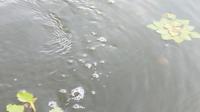 прогулка по озеру Казарь
