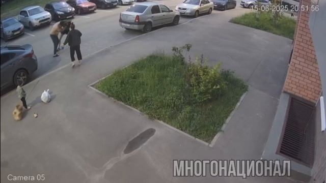 В Казани таджик напал на подростка с собакой !!!
