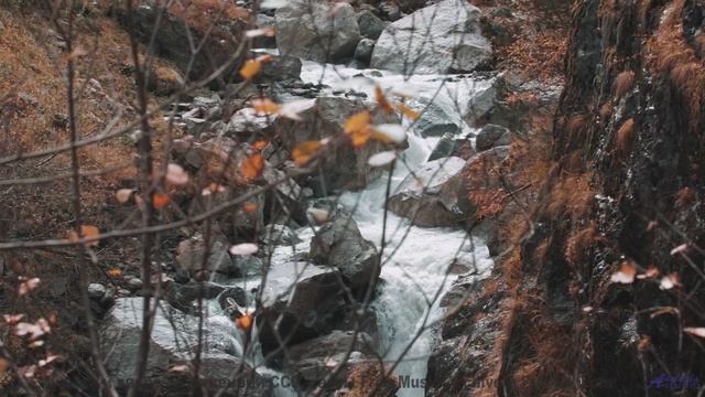 Эти виды под этот звук пробирают до слёз - Chills -- HoliznaCC0 -- Sad Beats