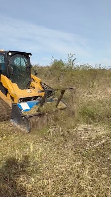 Мульчер лесной SSKRT150 OSMA на мини-погрузчике CAT279D