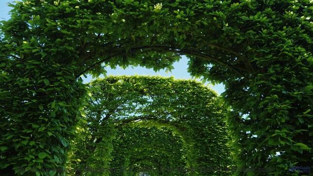 Эта мелодия заставит ваше сердце таять - осторожно! - Beneath the arch -- Cartouch -- Cartouch