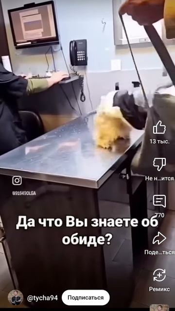 🐶👹