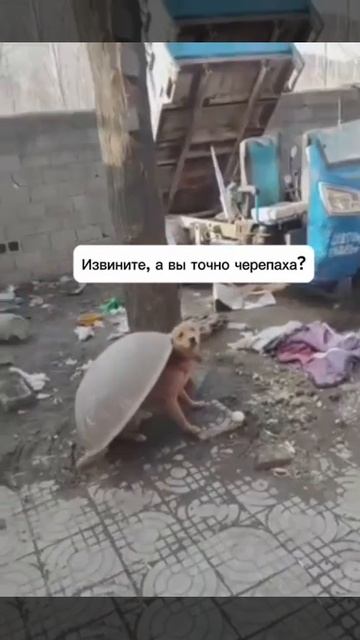 кто это