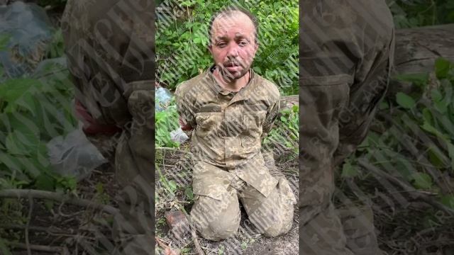 🤙Шарий попал в плен
Шарий Олэксандр ( на нормальном языке Александр) родом из какого-то «кукуево»