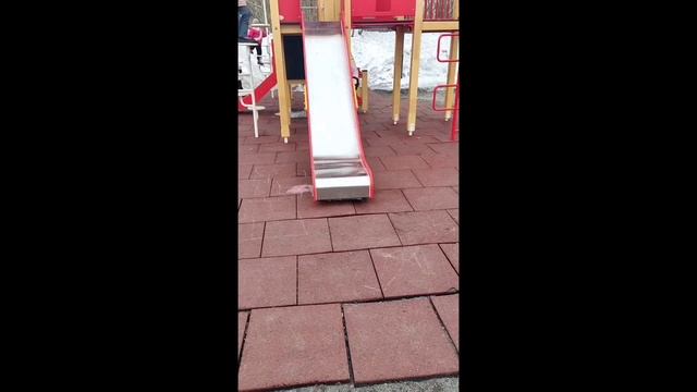 учимся кататься на роликах