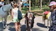 Катание на пони для детей