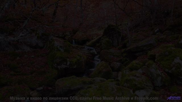 Музыка наполняет сердце звуками других миров - Music -- A. Cooper -- A.